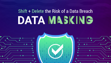 Data Masking Infographic