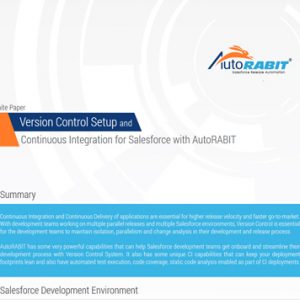 Autorabit Continuous Integration White Paper