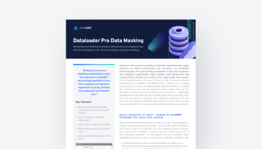 Dataloader Pro Data Masking