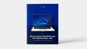Why You Need to Start Backing Up Your Salesforce Data…Now Ebook