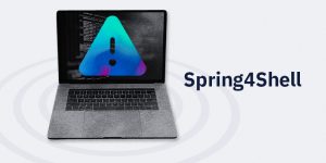 The Spring4Shell Vulnerability: The AutoRABIT Response