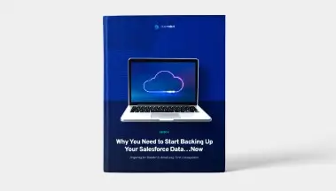 Why You Need to Start Backing Up Your Salesforce Data…Now Ebook