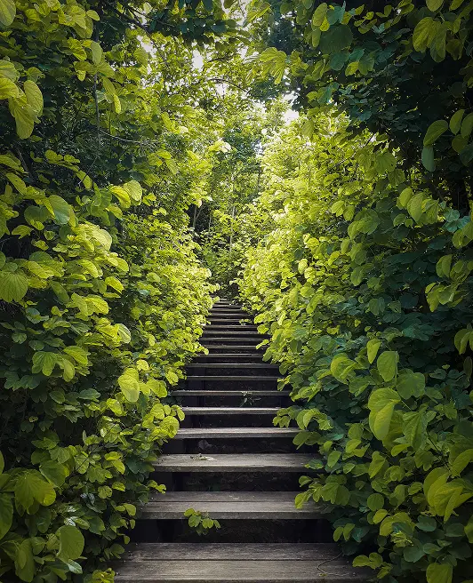 Nature's Staircase