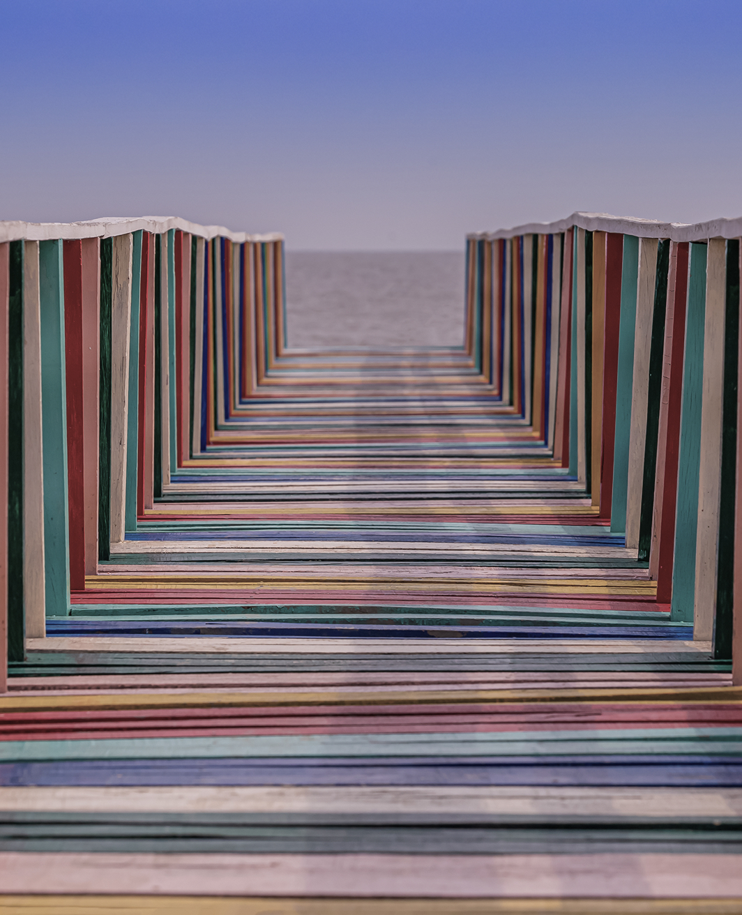 Rectangle 240