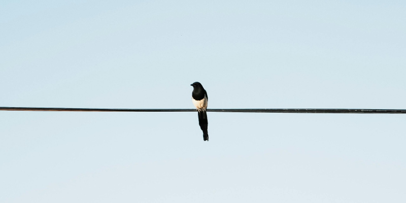 Why “Secure by Default” Doesn’t Apply to Salesforce