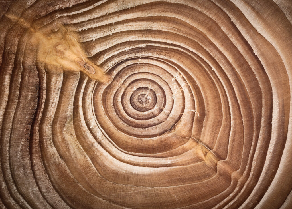 6 Ways Security Debt Becomes Business Debt_AutoRABIT