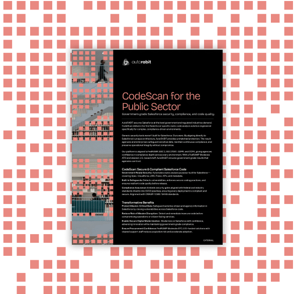 Datasheet_CodeScan for the Public Sector