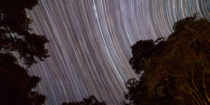 From Exposure to Control_AutoRABIT