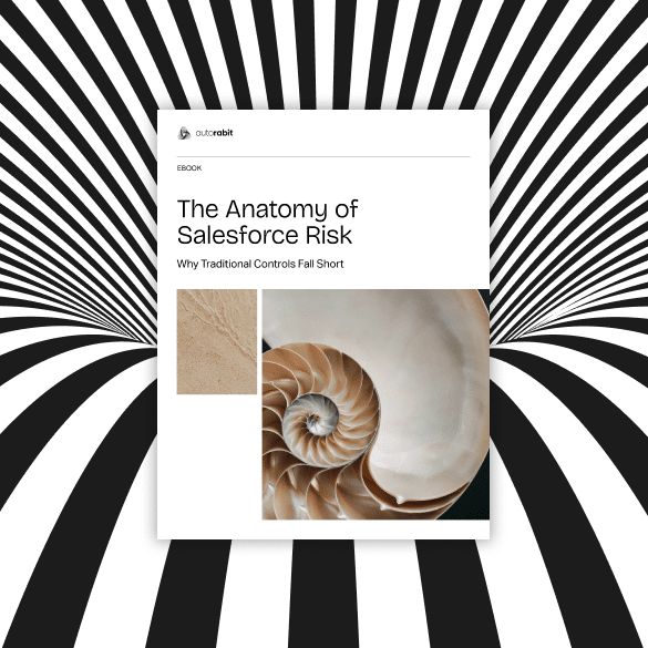 Ebook_The Anatomy of Salesforce Risk_AutoRABIT