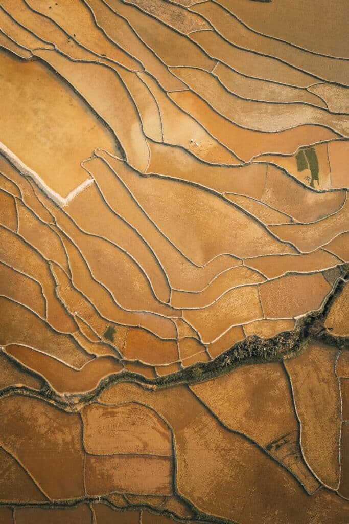 Manual Salesforce Compliance Is Failing Healthcare_AutoRABIT