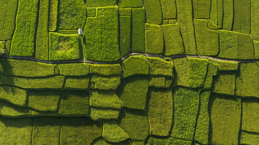Abstract geometric shapes of rice fields in green Salesforce DevOps Best Practices for Enterprise CICD_AutoRABIT